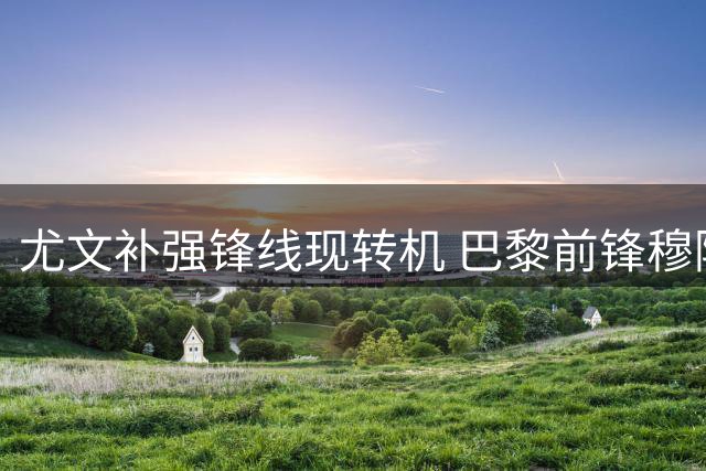 尤文补强锋线现转机 巴黎前锋穆阿尼或将冬季加盟