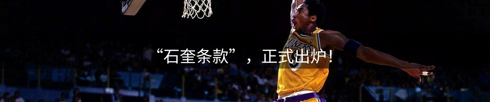 焦点亮点