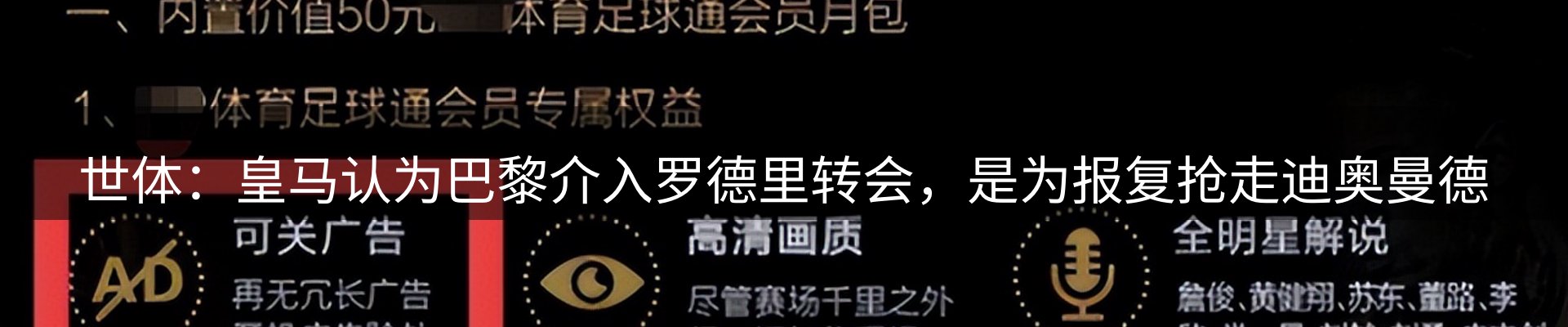 焦点亮点