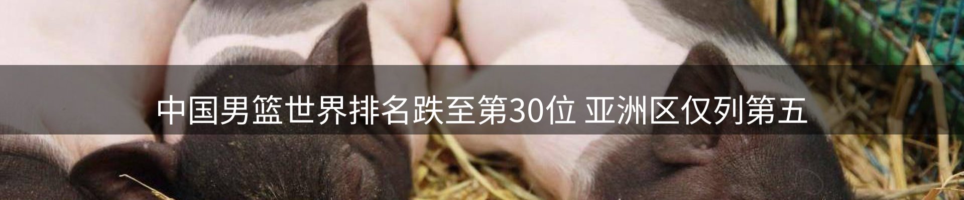 焦点亮点