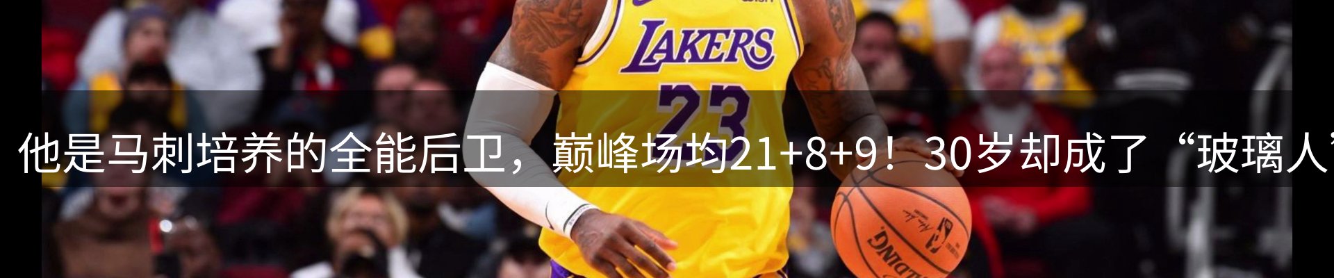 焦点亮点