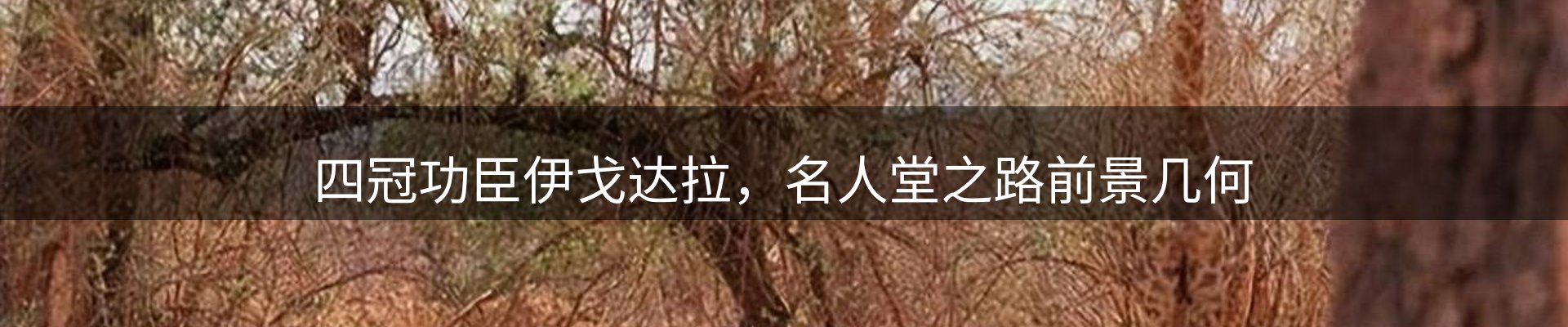 焦点亮点