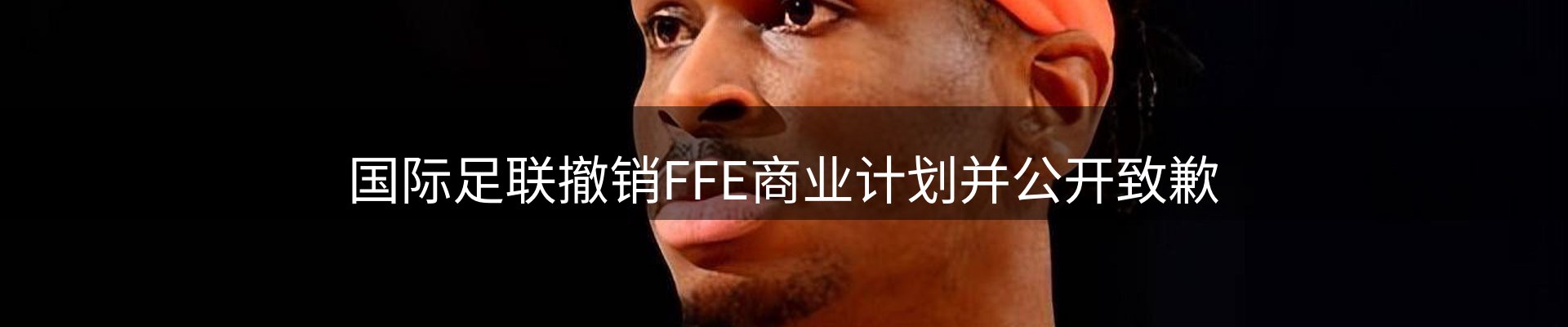 焦点亮点