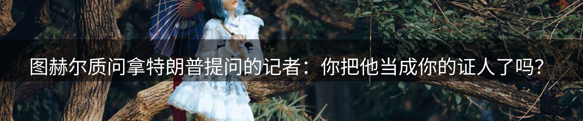 焦点亮点