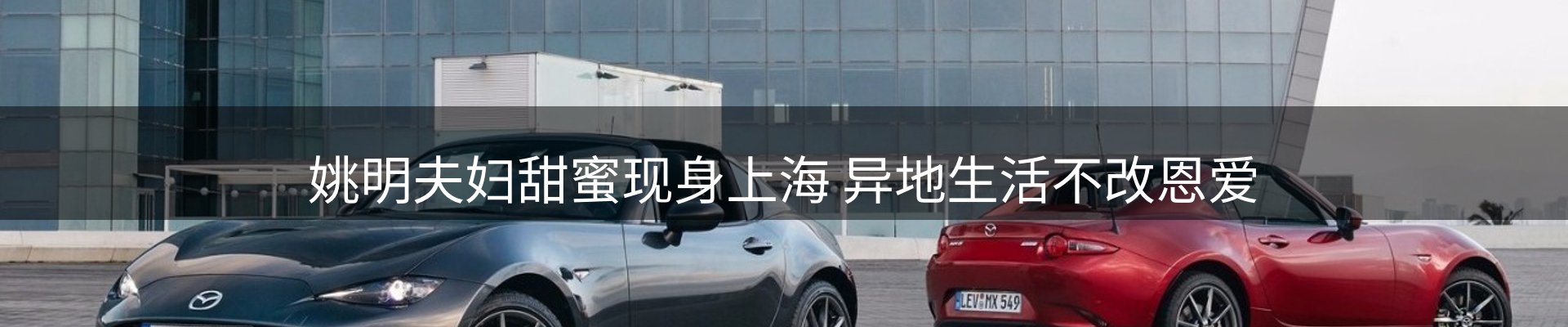 焦点亮点