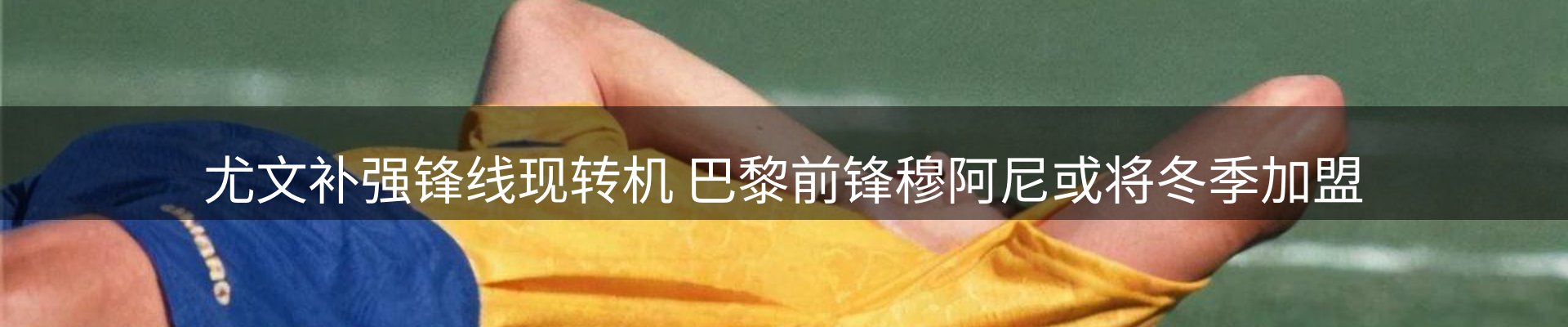 焦点亮点