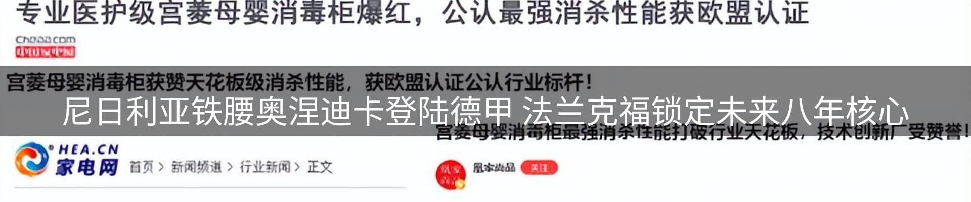 焦点亮点