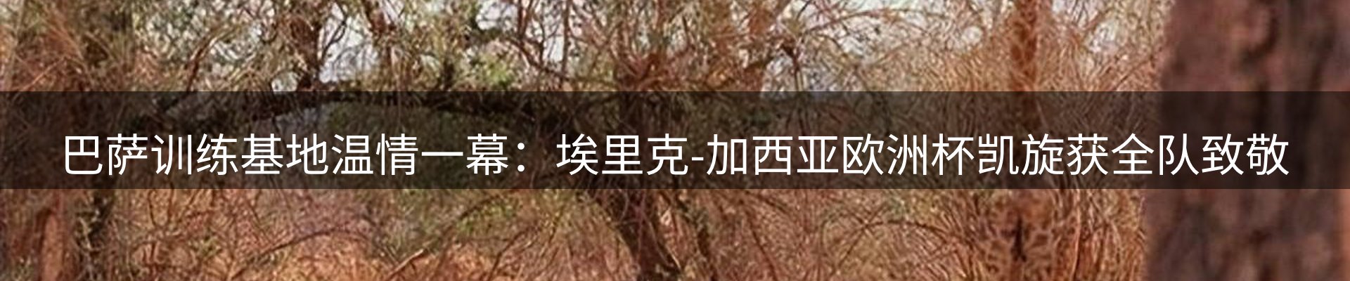 焦点亮点
