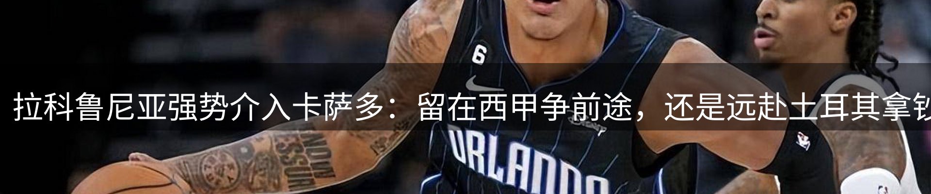 焦点亮点