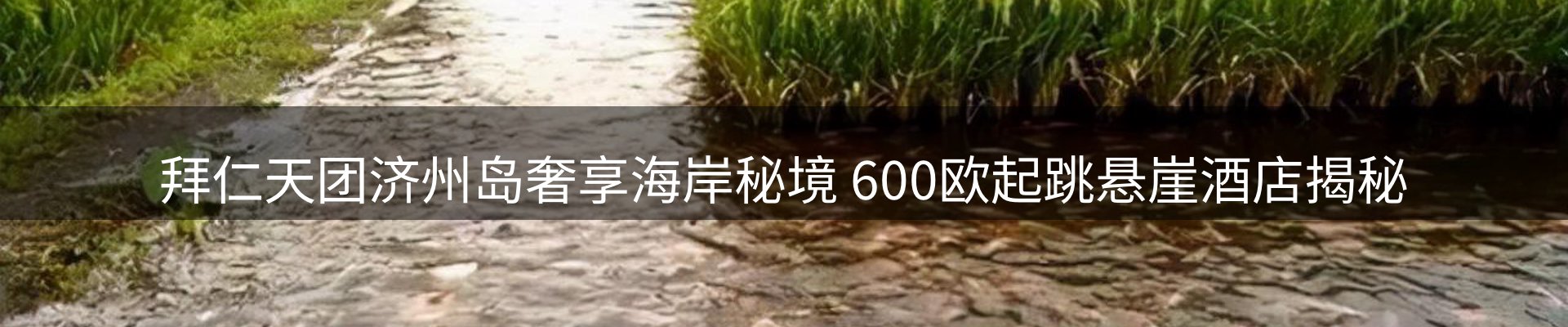 焦点亮点
