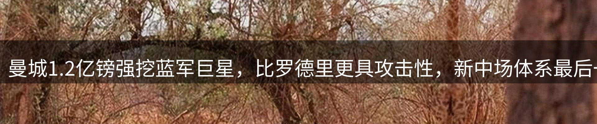 焦点亮点