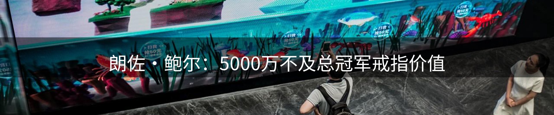 焦点亮点