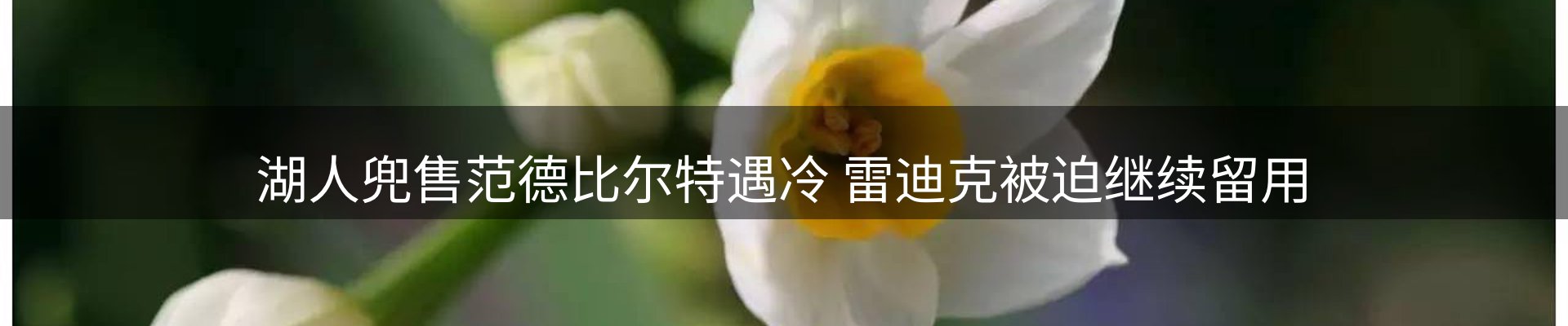 焦点亮点