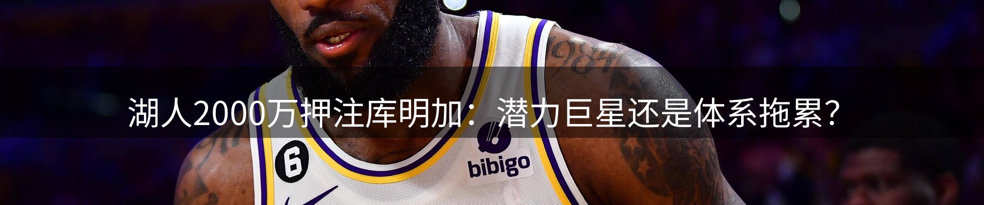 焦点亮点
