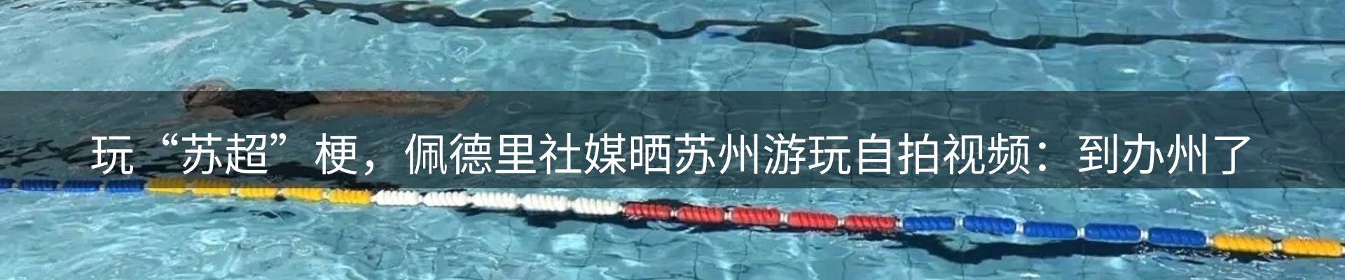 焦点亮点