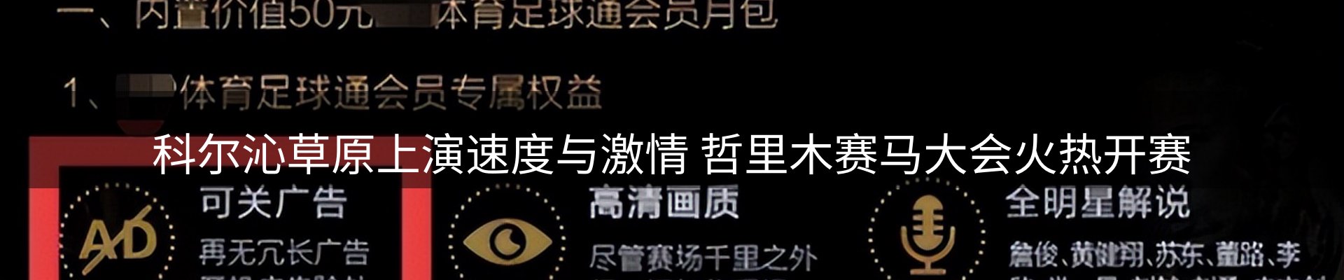 焦点亮点