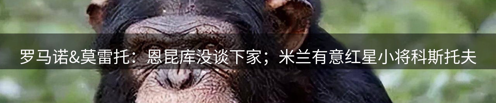 焦点亮点
