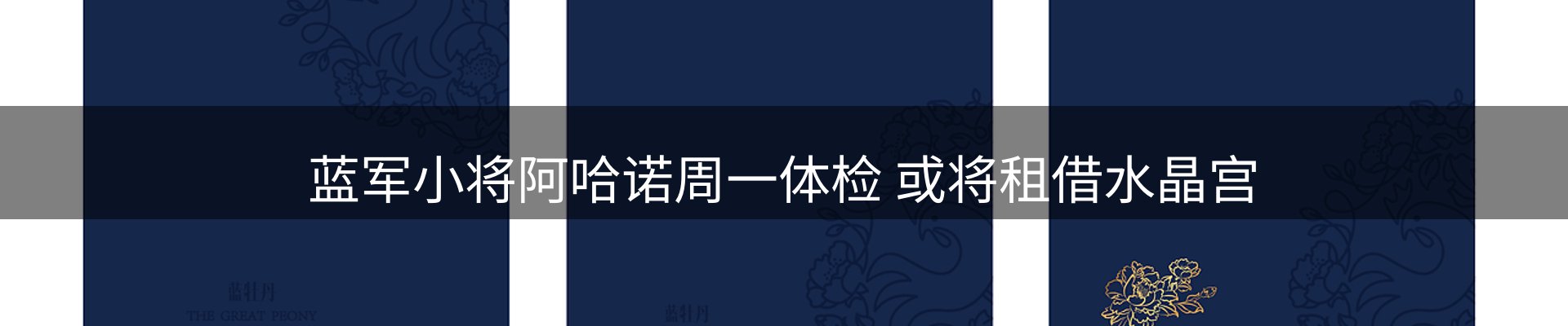 焦点亮点