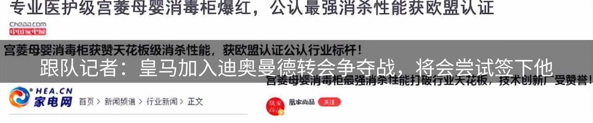 焦点亮点