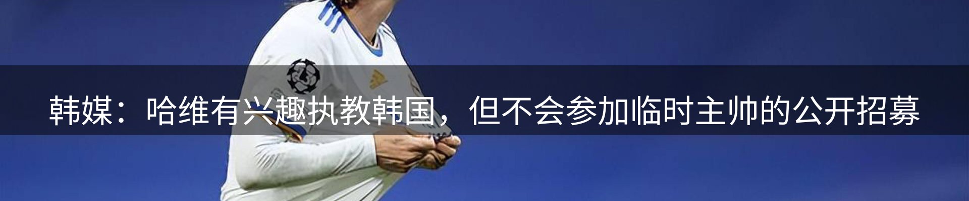 焦点亮点