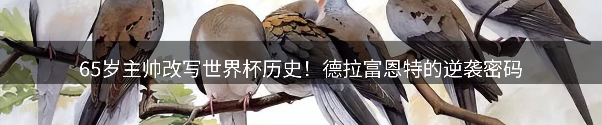 焦点亮点