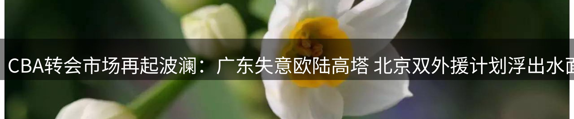 焦点亮点